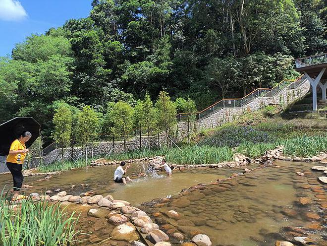 广东沿海遭遇严重海水倒灌事件：车辆淹没下的城海斗争